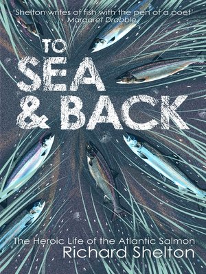 cover image of To Sea and Back